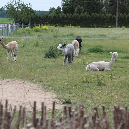 Çiftlik konaklama Auf Dem Alpaka-hof